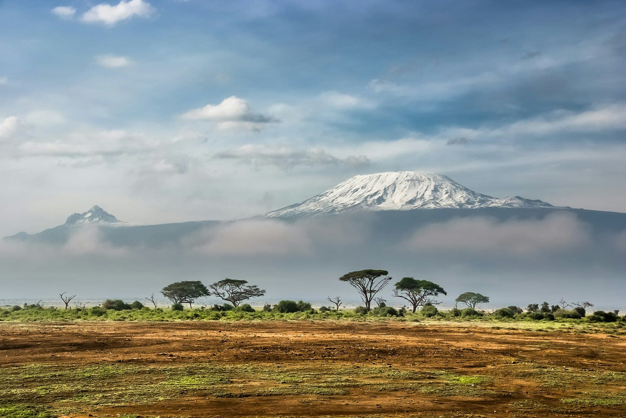 Snow-capped mountain above an open savanna