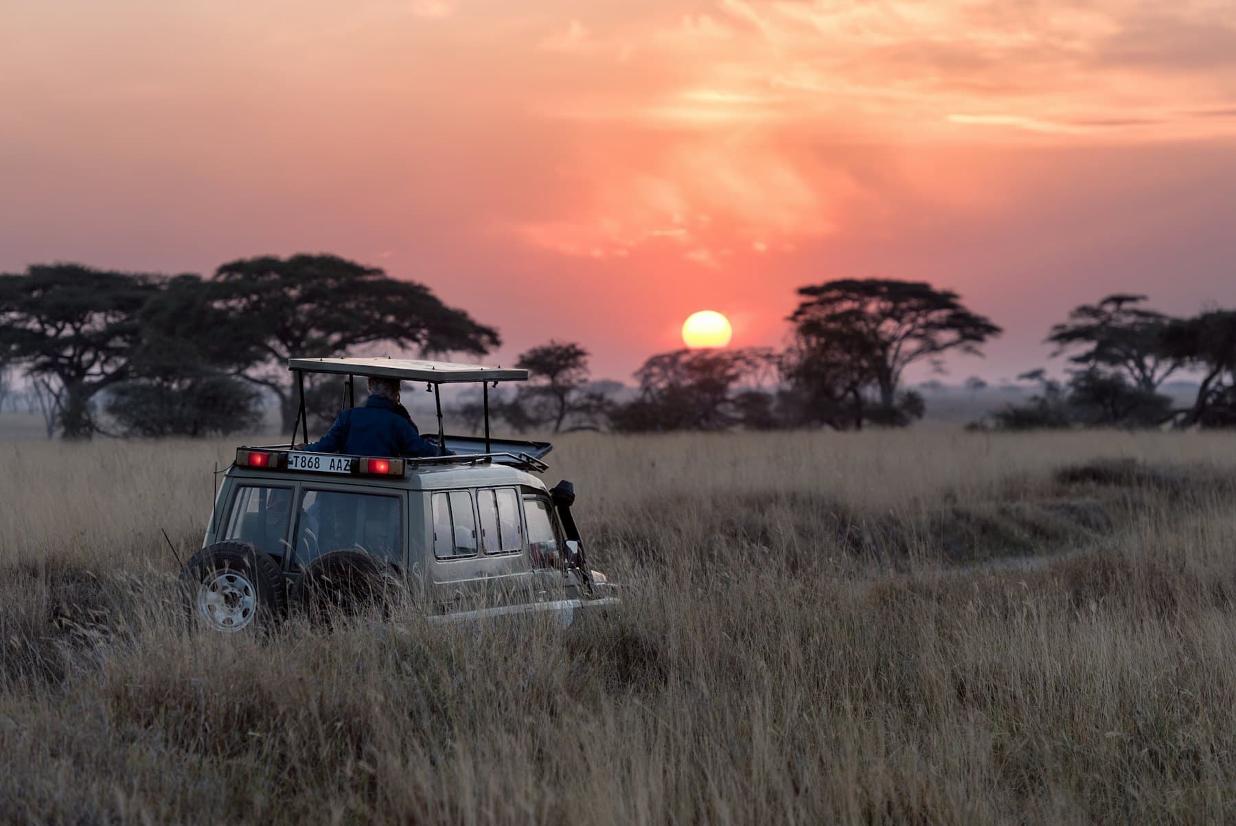 Safari vehicle in tall grass at sunset