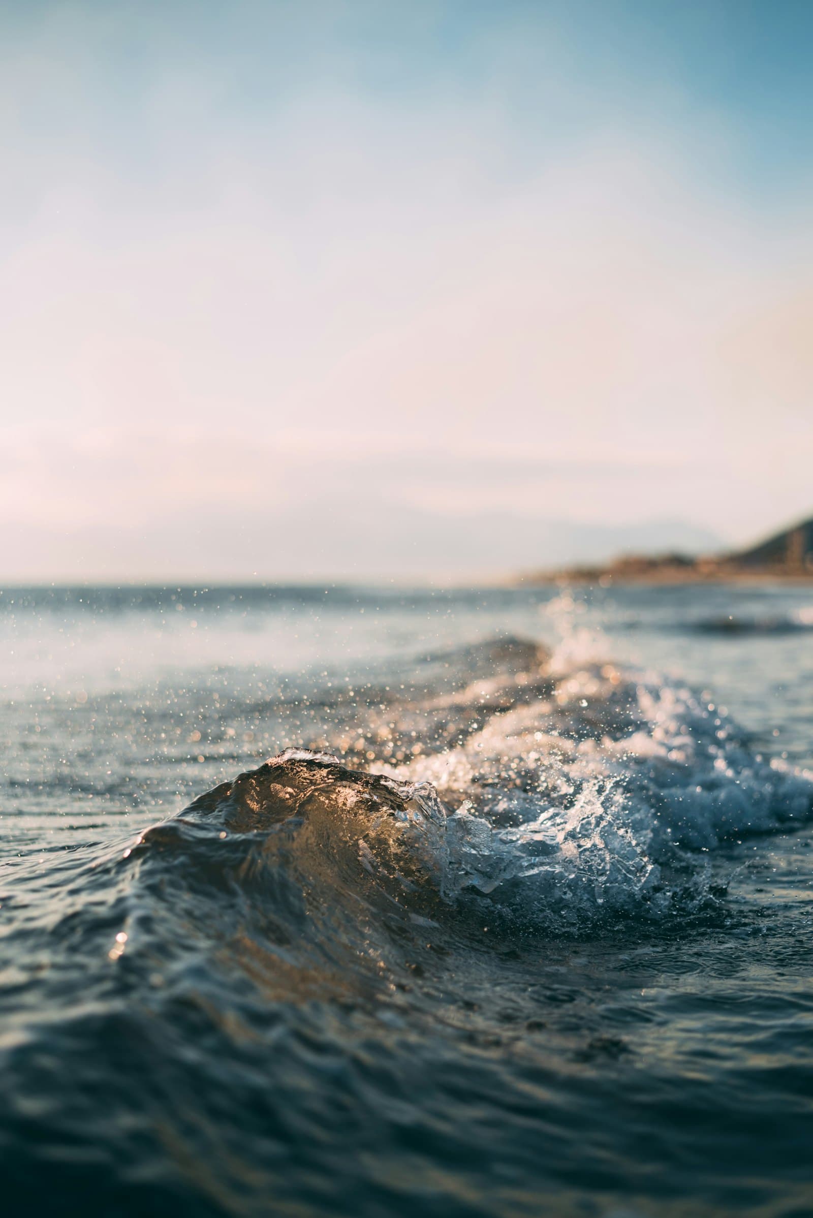 Close water catching the light near a far shore